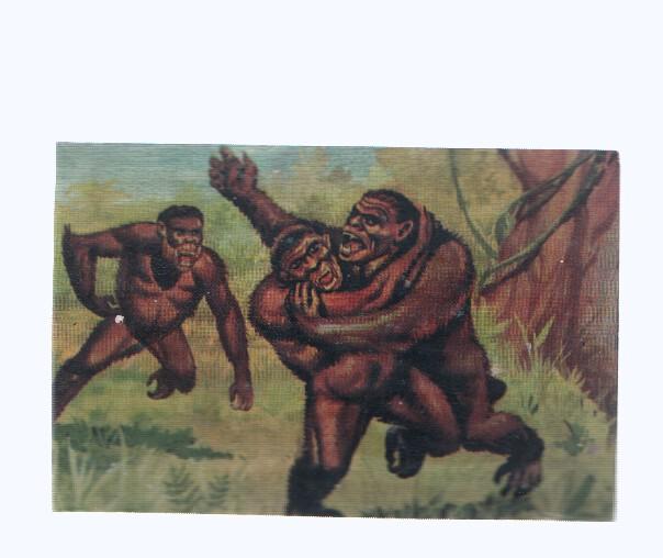 Cromos: de la Selva Misteriosa a los abismos del mar: numero 066: Encarnizados luchadores de cuatro manos