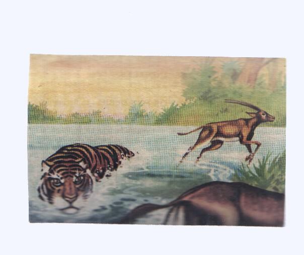 Cromos: de la Selva Misteriosa a los abismos del mar: numero 073: Condenado por mas debil