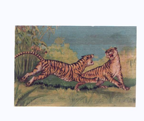 Cromos: de la Selva Misteriosa a los abismos del mar: numero 083: Poderosos rivales