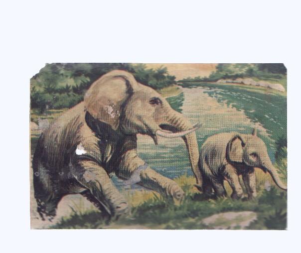 Cromos: de la Selva Misteriosa a los abismos del mar: numero 086: El baño de los colosos