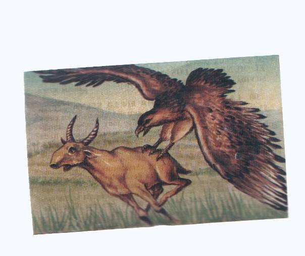 Cromos: de la Selva Misteriosa a los abismos del mar: numero 090: La muerte acecha en la selva