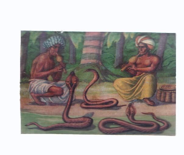 Cromos: de la Selva Misteriosa a los abismos del mar: numero 091: Encantadores de serpientes