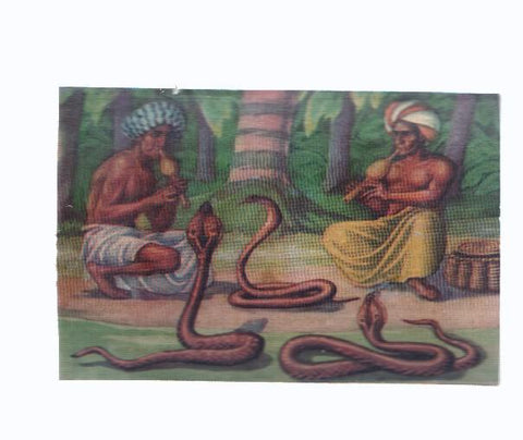 Cromos: de la Selva Misteriosa a los abismos del mar: numero 091: Encantadores de serpientes