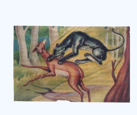 Cromos: de la Selva Misteriosa a los abismos del mar: numero 094: la selva es asi