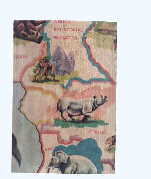 Cromos: de la Selva Misteriosa a los abismos del mar: numero 113: Mapa zoologico de Africa, parte