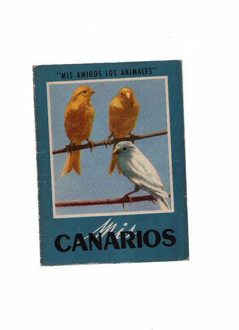 Mis amigos los animales: Mis canarios
