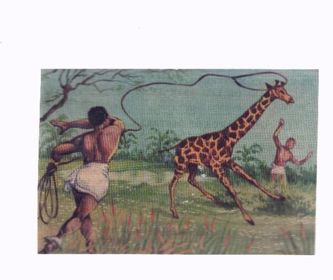 Cromos: de la Selva Misteriosa a los abismos del mar: numero 139: Un alarde de destreza