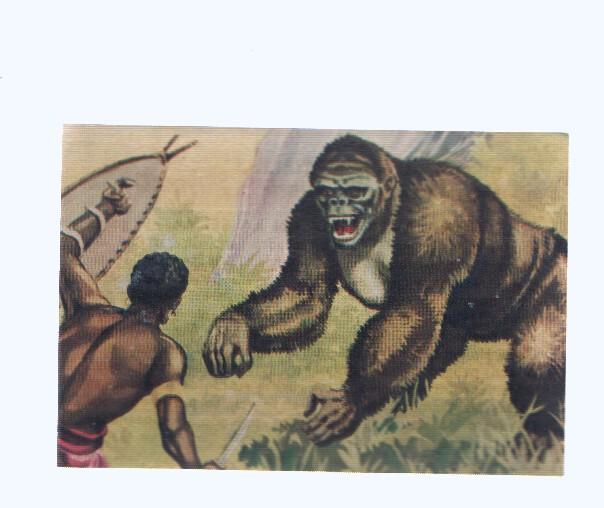 Cromos: de la Selva Misteriosa a los abismos del mar: numero 151: Una aventura en la selva
