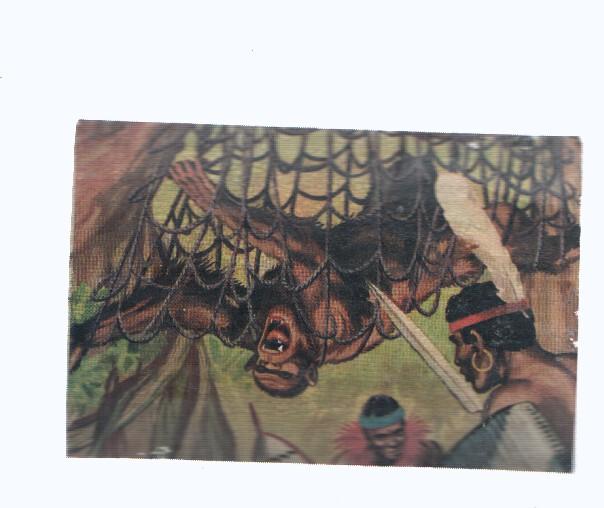 Cromos: de la Selva Misteriosa a los abismos del mar: numero 152: Caido en la trampa