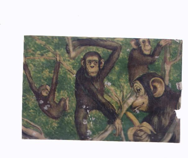 Cromos: de la Selva Misteriosa a los abismos del mar: numero 154: Comicos del bosque