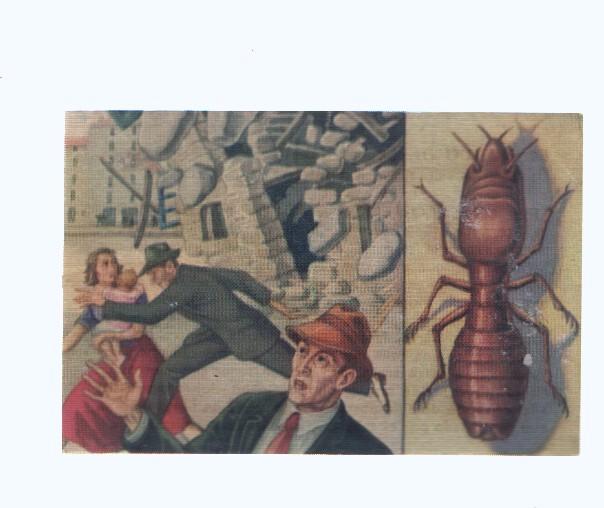 Cromos: de la Selva Misteriosa a los abismos del mar: numero 155: Los pequeños diablos minadores