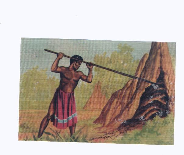Cromos: de la Selva Misteriosa a los abismos del mar: numero 156: Destruyendo un peligro