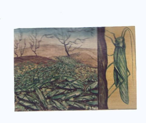 Cromos: de la Selva Misteriosa a los abismos del mar: numero 158: Piratas de la naturaleza