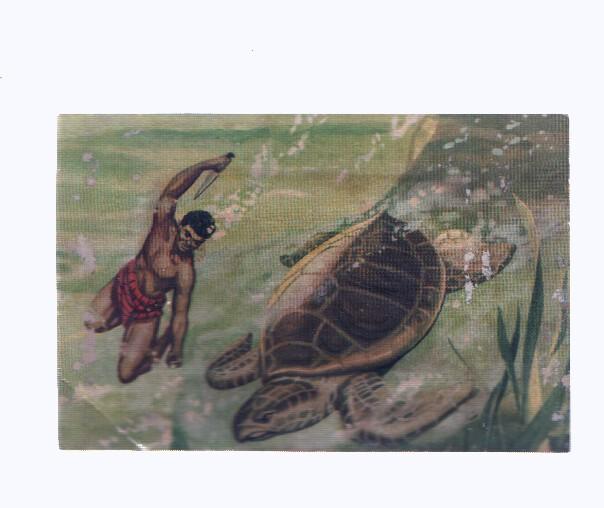 Cromos: de la Selva Misteriosa a los abismos del mar: numero 162: Caceria submarina