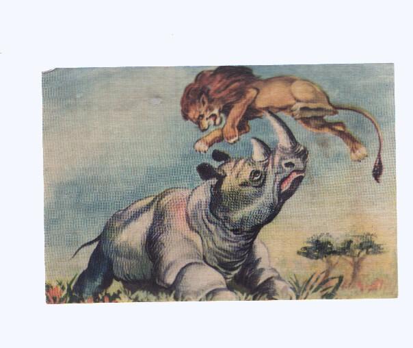 Cromos: de la Selva Misteriosa a los abismos del mar: numero 164: Sin remision