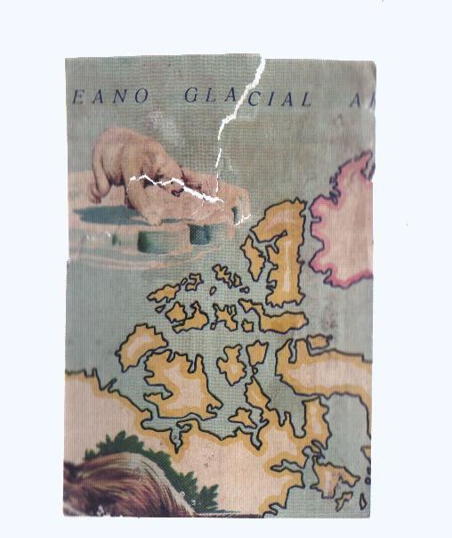Cromos: de la Selva Misteriosa a los abismos del mar: numero 167: Mapa zoologico de America del Norte, parte