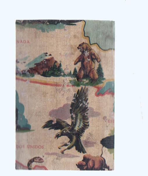 Cromos: de la Selva Misteriosa a los abismos del mar: numero 170: Mapa zoologico de America del Norte, parte