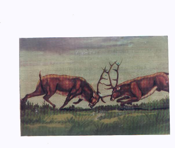 Cromos: de la Selva Misteriosa a los abismos del mar: numero 184: Amor, celos, deseos, envidias