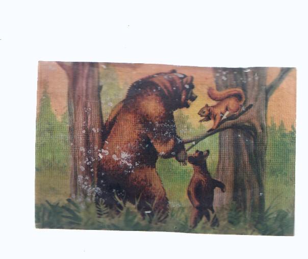 Cromos: de la Selva Misteriosa a los abismos del mar: numero 189: Golosos del bosque