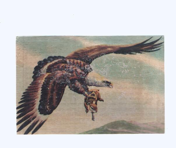 Cromos: de la Selva Misteriosa a los abismos del mar: numero 192: El rey del espacio