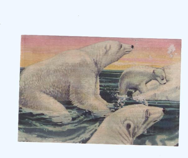 Cromos: de la Selva Misteriosa a los abismos del mar: numero 196: Trotamundos de los hielos