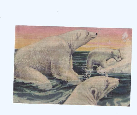 Cromos: de la Selva Misteriosa a los abismos del mar: numero 196: Trotamundos de los hielos