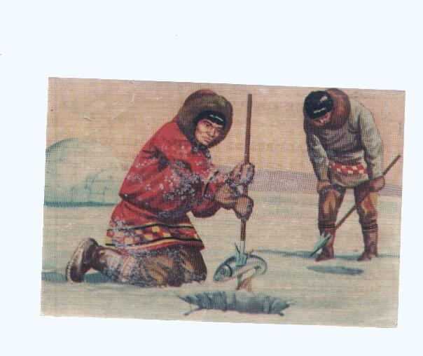 Cromos: de la Selva Misteriosa a los abismos del mar: numero 197: Pescadores de regiones heladas