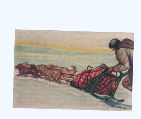 Cromos: de la Selva Misteriosa a los abismos del mar: numero 198: Habitantes del desierto helado