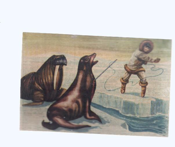 Cromos: de la Selva Misteriosa a los abismos del mar: numero 203: El ultimo instante