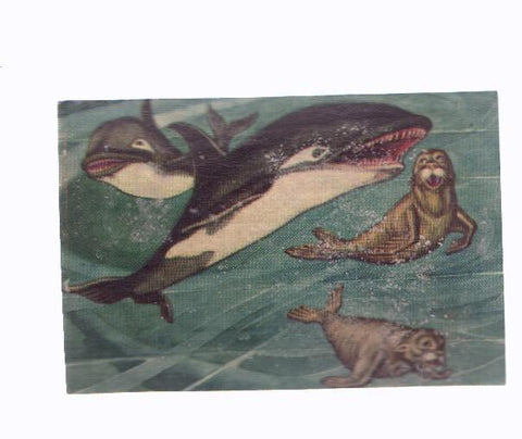 Cromos: de la Selva Misteriosa a los abismos del mar: numero 204: La voraz orca en accion
