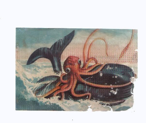 Cromos: de la Selva Misteriosa a los abismos del mar: numero 208: Drama del mar