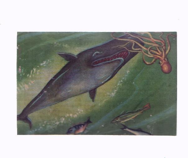 Cromos: de la Selva Misteriosa a los abismos del mar: numero 210: En el mundo submarino