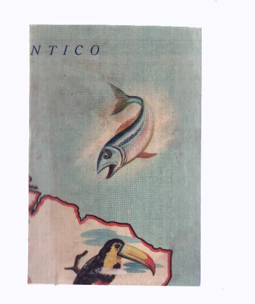 Cromos: de la Selva Misteriosa a los abismos del mar: numero 213: Mapa zoologico de America del Sur, parte