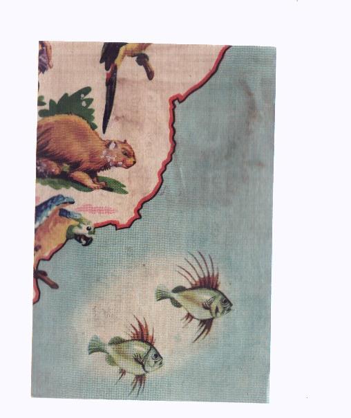 Cromos: de la Selva Misteriosa a los abismos del mar: numero 216: Mapa zoologico de America del Sur, parte