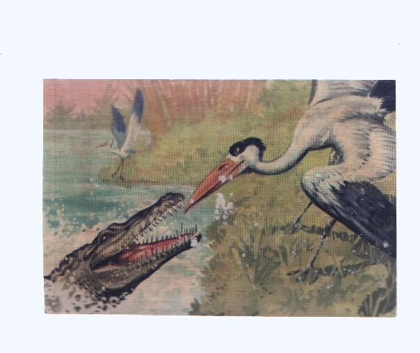Cromos: de la Selva Misteriosa a los abismos del mar: numero 222. Espantable amenaza