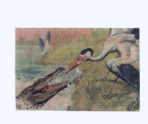 Cromos: de la Selva Misteriosa a los abismos del mar: numero 222. Espantable amenaza