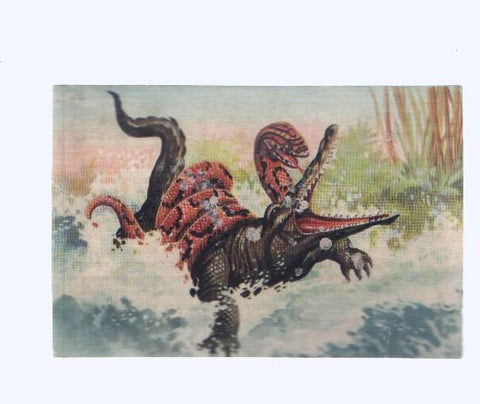 Cromos: de la Selva Misteriosa a los abismos del mar: numero 223: Segundos de vida