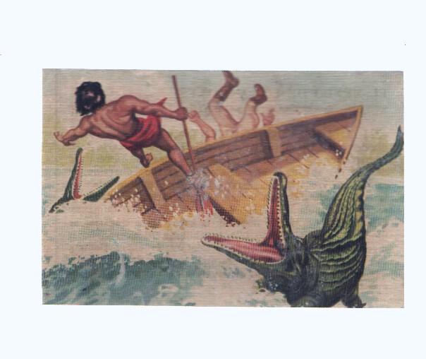 Cromos: de la Selva Misteriosa a los abismos del mar: numero 224: Un mortal encuentro