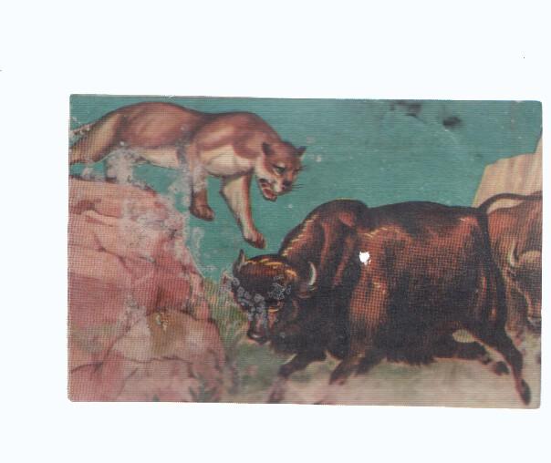 Cromos: de la Selva Misteriosa a los abismos del mar: numero 225: Objetivo Vivir