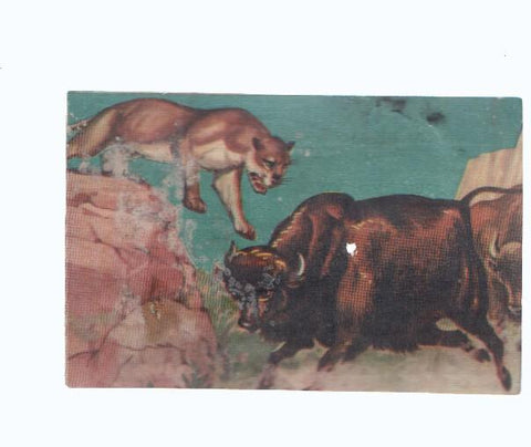 Cromos: de la Selva Misteriosa a los abismos del mar: numero 225: Objetivo Vivir