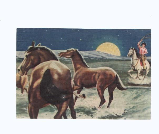 Cromos: de la Selva Misteriosa a los abismos del mar: numero 231: A la luz de la luna