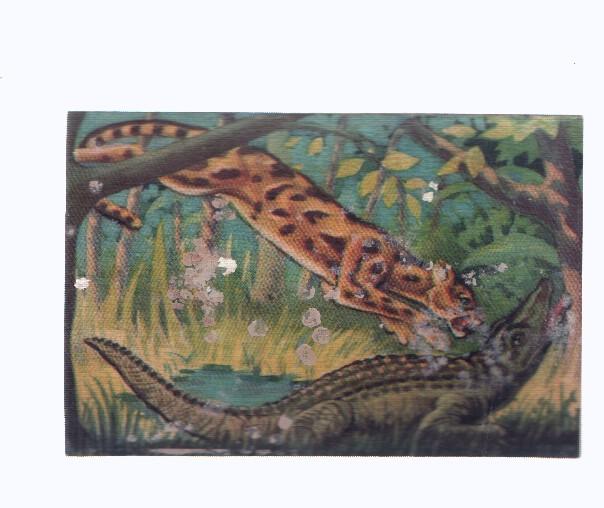 Cromos: de la Selva Misteriosa a los abismos del mar: numero 240: Choque brutal