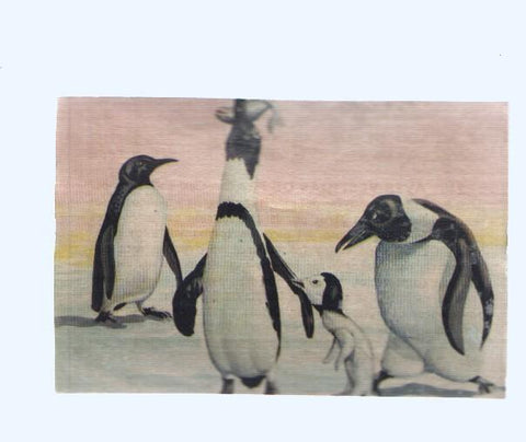 Cromos: de la Selva Misteriosa a los abismos del mar: numero 246: Aves vestidas de Frac