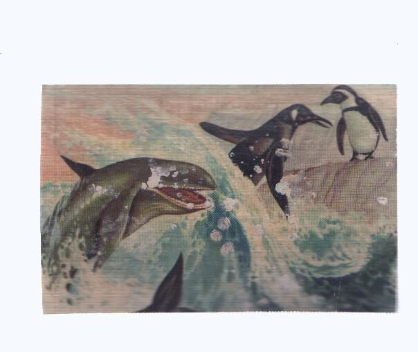 Cromos: de la Selva Misteriosa a los abismos del mar: numero 247: Voracidad en los mares helados