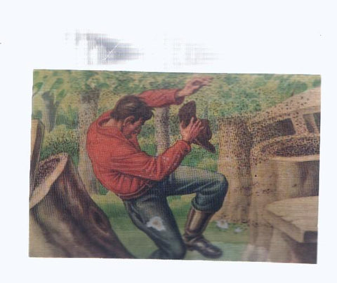 Cromos: de la Selva Misteriosa a los abismos del mar: numero 248: Ejercito incontenible