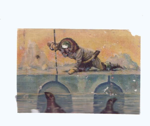 Cromos: de la Selva Misteriosa a los abismos del mar: numero 254: Cazador de focas