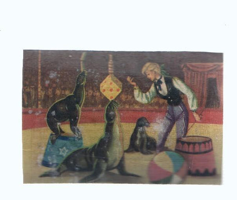 Cromos: de la Selva Misteriosa a los abismos del mar: numero 255: Focas en el circo