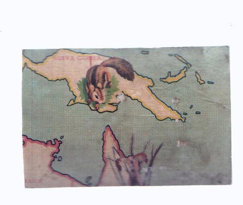 Cromos: de la Selva Misteriosa a los abismos del mar: numero 257: Mapa zoologico de Oceania, parte