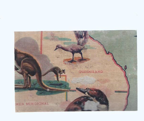 Cromos: de la Selva Misteriosa a los abismos del mar: numero 260: Mapa zoologico de Oceania, parte