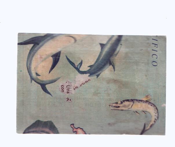 Cromos: de la Selva Misteriosa a los abismos del mar: numero 261: Mapa zoologico de Oceania, parte